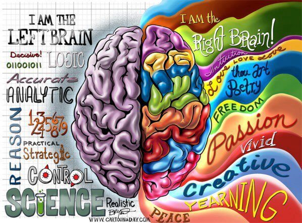 creierul uman
